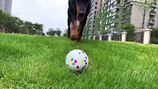 Perro Interactivo Chew Etpu Balls Etpu Molar Balls Etpu Balls para entrenar perros
